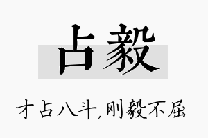 占毅名字的寓意及含义