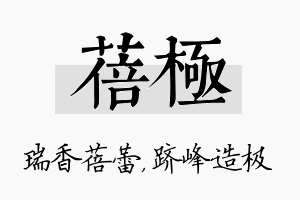 蓓极名字的寓意及含义