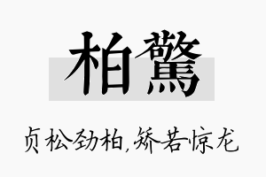 柏惊名字的寓意及含义