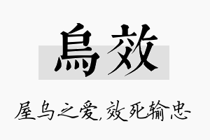 乌效名字的寓意及含义