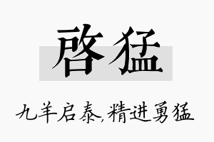 启猛名字的寓意及含义