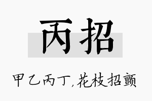 丙招名字的寓意及含义