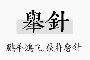 举针名字的寓意及含义