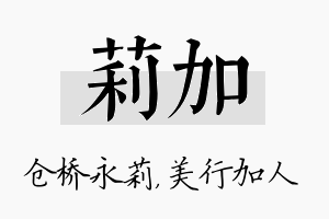 莉加名字的寓意及含义