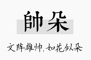 帅朵名字的寓意及含义