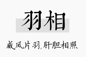 羽相名字的寓意及含义