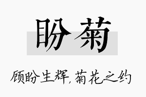 盼菊名字的寓意及含义