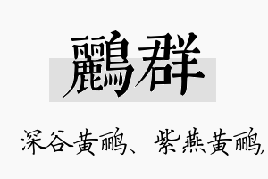 鹂群名字的寓意及含义