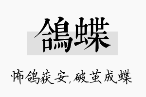 鸽蝶名字的寓意及含义