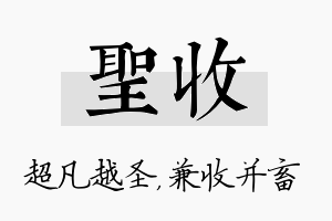 圣收名字的寓意及含义