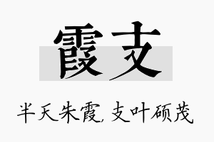 霞支名字的寓意及含义