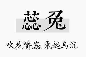 蕊兔名字的寓意及含义