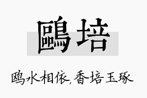 鸥培名字的寓意及含义