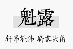 魁露名字的寓意及含义