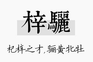 梓骊名字的寓意及含义