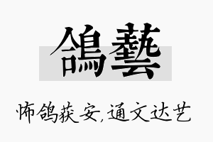 鸽艺名字的寓意及含义