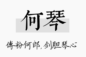 何琴名字的寓意及含义