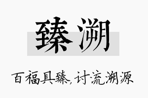 臻溯名字的寓意及含义