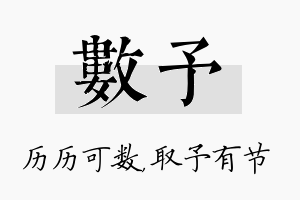 数予名字的寓意及含义