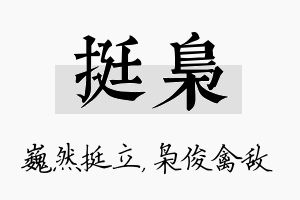 挺枭名字的寓意及含义