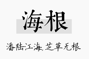 海根名字的寓意及含义