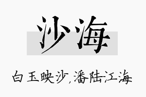 沙海名字的寓意及含义