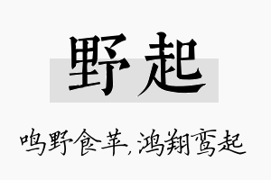 野起名字的寓意及含义