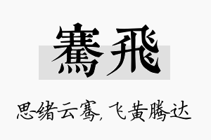 骞飞名字的寓意及含义