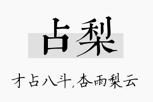 占梨名字的寓意及含义