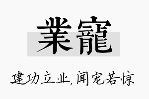 业宠名字的寓意及含义