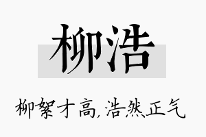 柳浩名字的寓意及含义