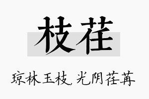 枝荏名字的寓意及含义