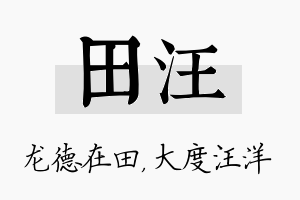 田汪名字的寓意及含义