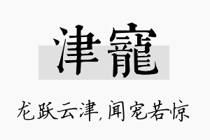 津宠名字的寓意及含义