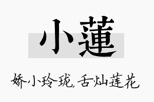 小莲名字的寓意及含义