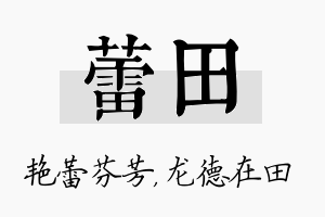 蕾田名字的寓意及含义