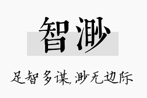 智渺名字的寓意及含义