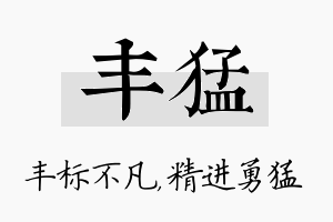 丰猛名字的寓意及含义