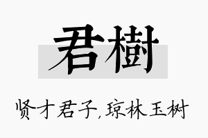 君树名字的寓意及含义