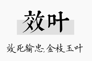 效叶名字的寓意及含义