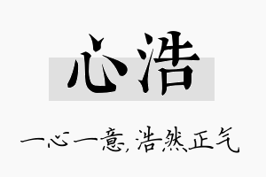 心浩名字的寓意及含义