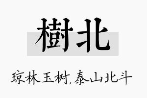 树北名字的寓意及含义