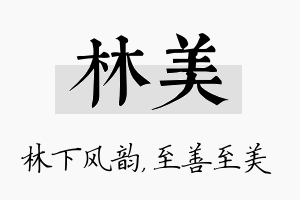 林美名字的寓意及含义