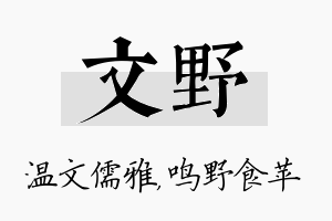 文野名字的寓意及含义