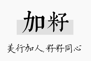 加籽名字的寓意及含义