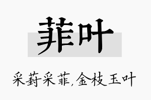 菲叶名字的寓意及含义