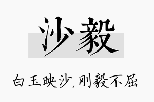 沙毅名字的寓意及含义