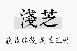 浅芝名字的寓意及含义