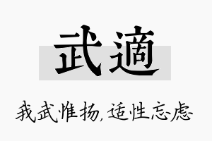 武适名字的寓意及含义