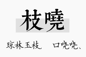 枝哓名字的寓意及含义